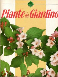 GREEN GARDEN PIANTE DA GIARDINO