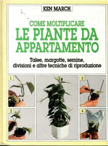 COME MOLTIPLICARE LE PIANTE DA APPARTAMENTO – TALEE, MARGOTTE, SEMINA, DIVISIONE E ALTRE TECNICHE DI RIPRODUZIONE