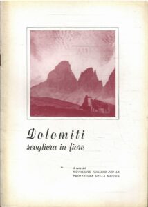 DOLOMITI SCOGLIERA IN FIORE