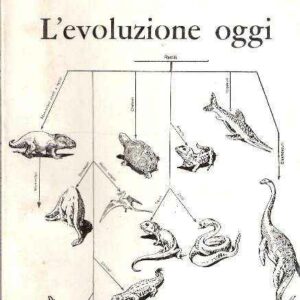 L'EVOLUZIONE OGGI
