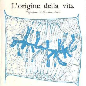 L'ORIGINE DELLA VITA