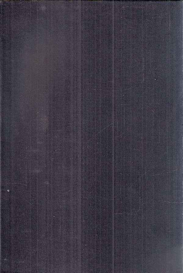 DIE GEIGEN UND LAUTENMACHER VOM MITTELALTER BIS ZUR GEGENWART - ERSTE BAND