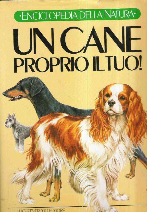 UN CANE PROPRIO IL TUO!