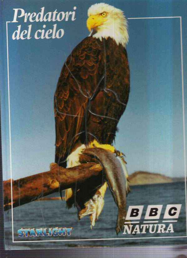 PREDATORI DEL CIELO