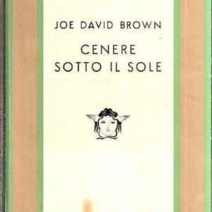 CENERE SOTTO IL SOLE