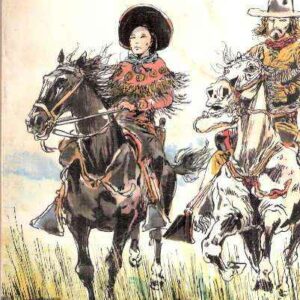 STONY LONESOME (IL SOLITARIO DI PIETRA)