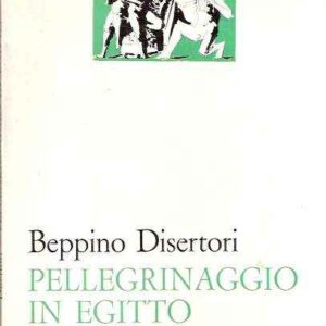 PELLEGRINAGGIO IN EGITTO