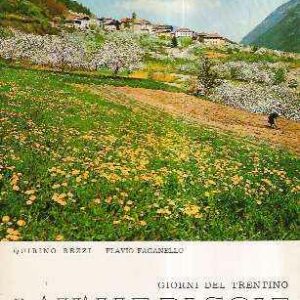 LA VALLE DI SOLE - GIORNI DEL TRENTINO