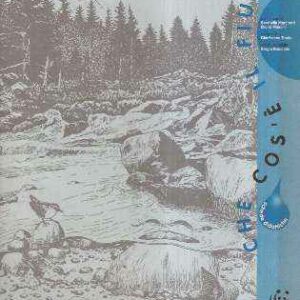 CHE COS'E' IL FIUME?
