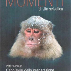 MOMENTI DI VITA SELVATICA - CAPOLAVORI DELLA PREPARAZIONE - CATALOGO DELL'ESPOSIZIONE