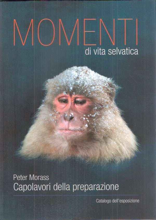 MOMENTI DI VITA SELVATICA - CAPOLAVORI DELLA PREPARAZIONE - CATALOGO DELL'ESPOSIZIONE