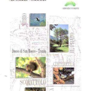 IL BOSCO DELLA CITTA'