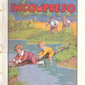 INCOMPRESO