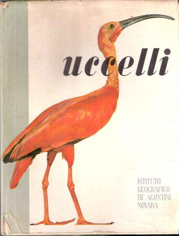 UCCELLI