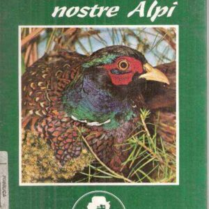 UCCELLI DELLE NOSTRE ALPI