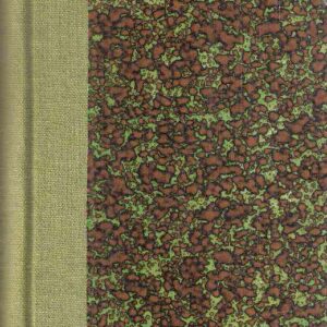 DIZIONARIO DELLE BATTAGLIE