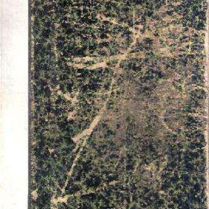 I PROMESSI SPOSI STORIA MILANESE DEL SECOLO XVII