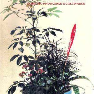 PIANTE IN CASA COME RICONOSCERLE E COLTIVARLE