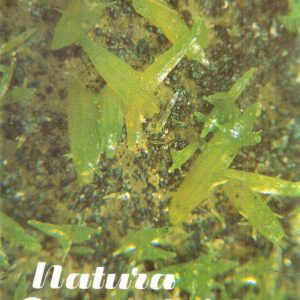 NATURA ALPINA ANNATA COMPLETA 1992