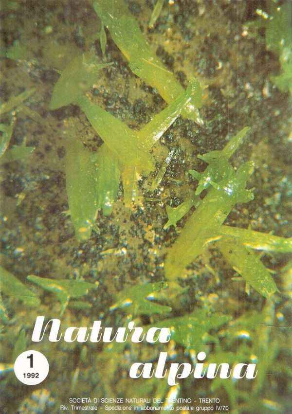 NATURA ALPINA ANNATA COMPLETA 1992