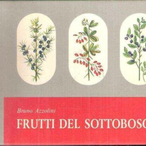 FRUTTI DEL SOTTOBOSCO - MORFOLOGIA DI PIANTE FRUTTIFERE