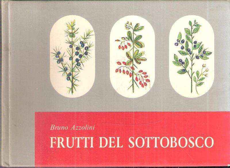 FRUTTI DEL SOTTOBOSCO - MORFOLOGIA DI PIANTE FRUTTIFERE