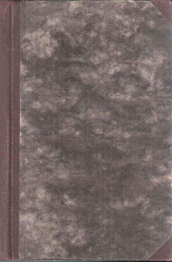 I ROMANZI DELLA PALMA