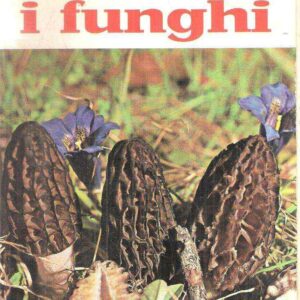 IMPARIAMO A CONOSCERE I FUNGHI