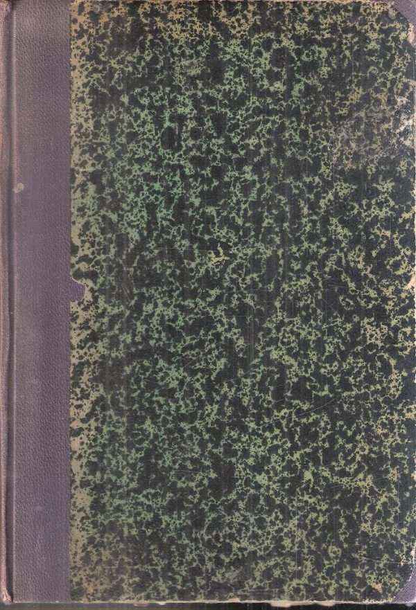 LA MENDICANTE DEL PONTE DELLE ARTI