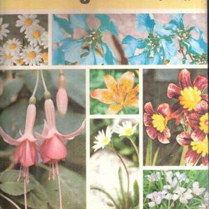TERRAZZE E GIARDINI GUIDA PRATICA AL GIARDINAGGIO