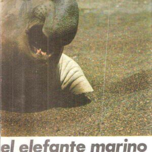 EL ELEFANTE MARINO - THE SEA ELEPHANT