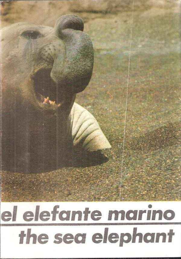 EL ELEFANTE MARINO - THE SEA ELEPHANT