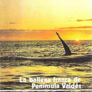 LA BALLENA FRANCA DE PENINSULA VALDES