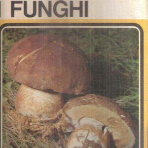 RACCOGLIAMO I FUNGHI