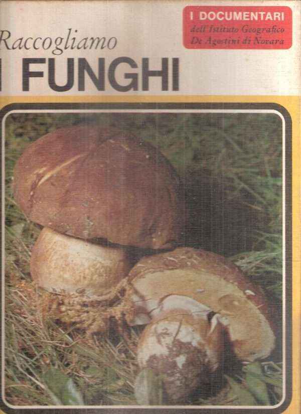 RACCOGLIAMO I FUNGHI
