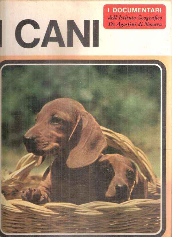 I CANI