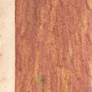 ALBRECHT DURER ZEICHNUNGEN - ZWEITE AUFLAGE