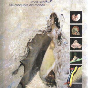 DENTRO LA CONCHIGLIA I MOLLUSCHI ALLA CONQUISTA DEL MONDO