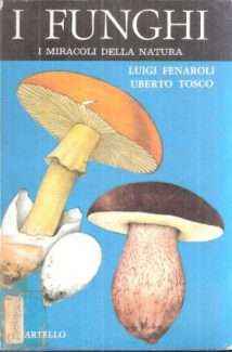 I FUNGHI I MIRACOLI DELLA NATURA
