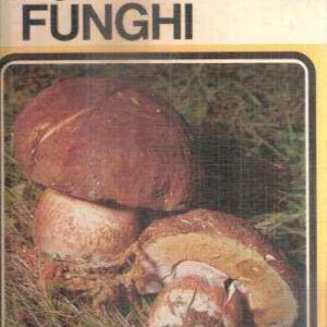 RACCOGLIAMO I FUNGHI