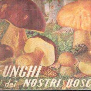 FUNGHI DEI NOSTRI BOSCHI