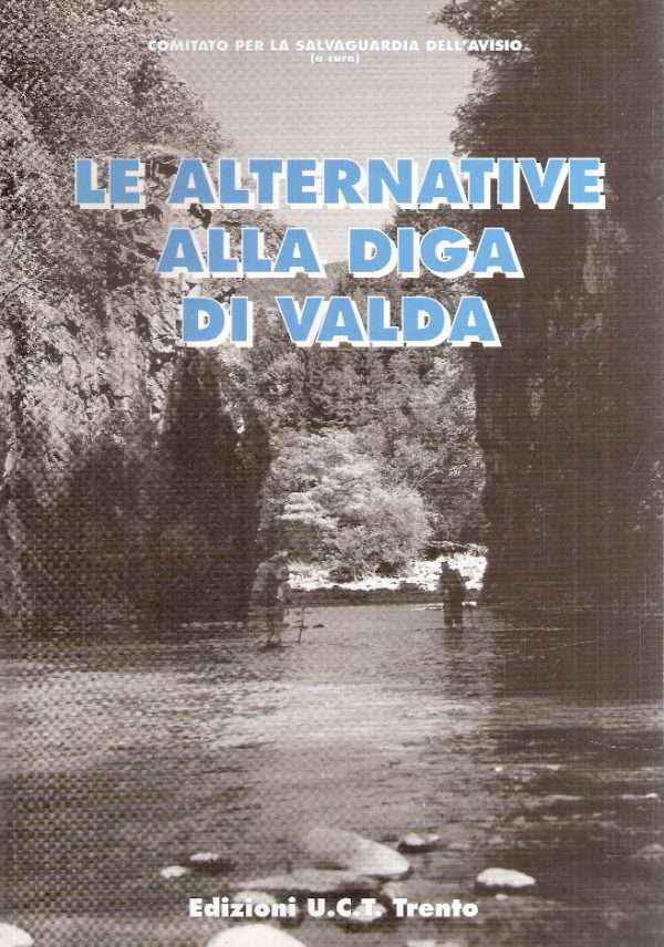 LE ALTERNATIVE ALLA DIGA DI VALDA