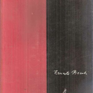 ERNESTO PICCOLI PITTORE