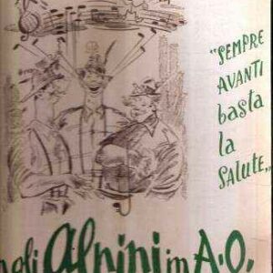 CON GLI ALPINI IN A.O. "SEMPRE AVANTI BASTA LA SALUTE"