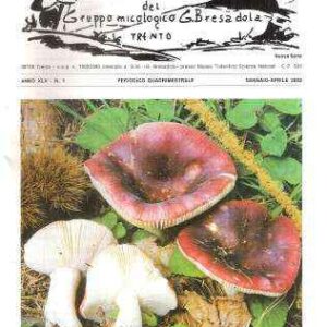 BOLLETTINO DEL GRUPPO MICOLOGICO G. BRESADOLA N. 1 ANNO XLV