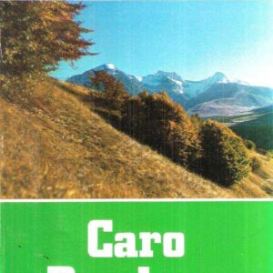 CARO BONDONE