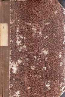 STORIA DELL'ARTE ITALIANA VOL I