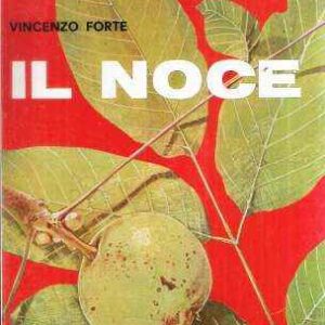 IL NOCE