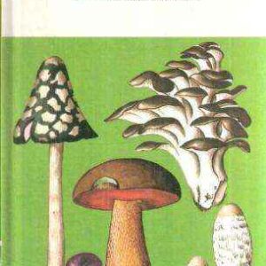 FUNGHI