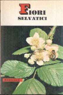 FIORI SELVATICI9